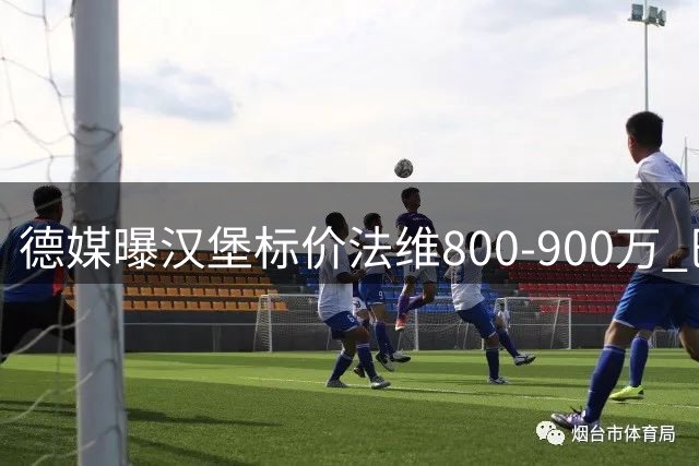 德媒曝汉堡标价法维800-900万 巴尔德700万转投法甲获证实